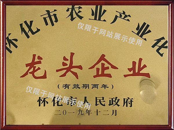 市農業(yè)產業(yè)化龍頭企業(yè)